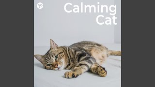 Calm Whiskers