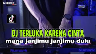 DJ TERLUKA KARENA CINTA REMIX MANA JANJIMU JANJIMU DULU AKAN SETIA PADAKU VIRAL TIKTOK TERBARU 2023