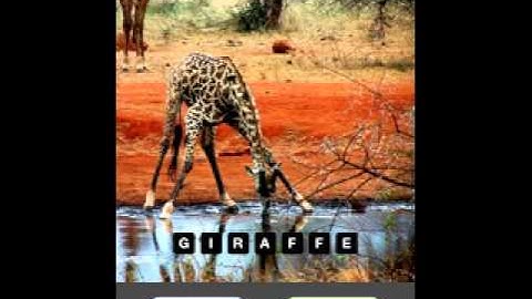 Hi Guess The Pic game answers level 2