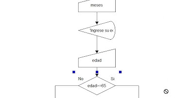 DIAGRAMAS DE FLUJOS CON CONDICIONES/DECISIONES/BIFURCACIONES  SIMPLES EN DFD
