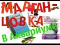 Марганцовка в аквариуме. Лечение аквариумных рыб.