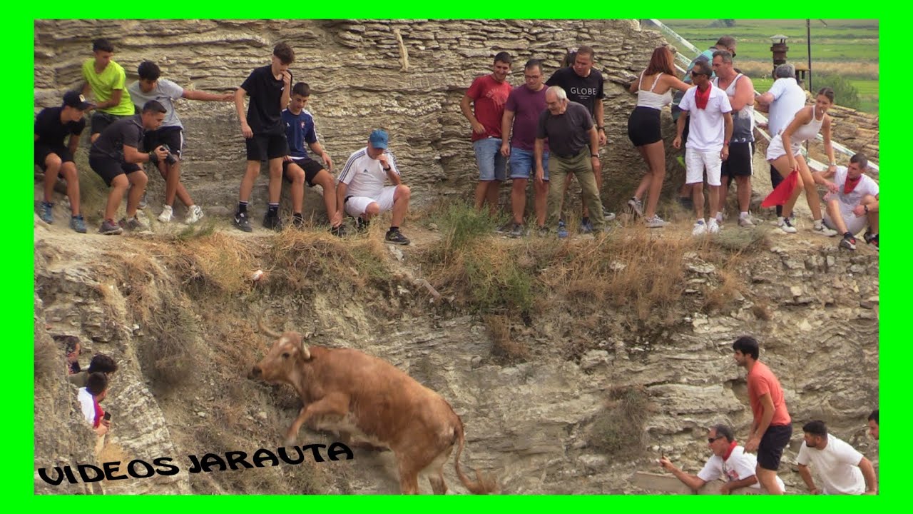 ARGUEDAS ( NAVARRA ) TARDE ULTIMO ENCIERRO DEL ESTRECHO   (DOMINGO 14 AGOSTO 2022 ) A.IÑIGUEZ