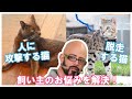 猫ヘルパーS7 | Ep.1 | My Cat From Hell