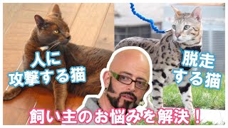 猫ヘルパーS7 | Ep.1 | My Cat From Hell