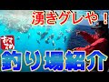 【釣り場紹介】和歌山県 周参見町【黒崎】グレ、アオリイカ、青物等が釣れるポイント 水中映像有り