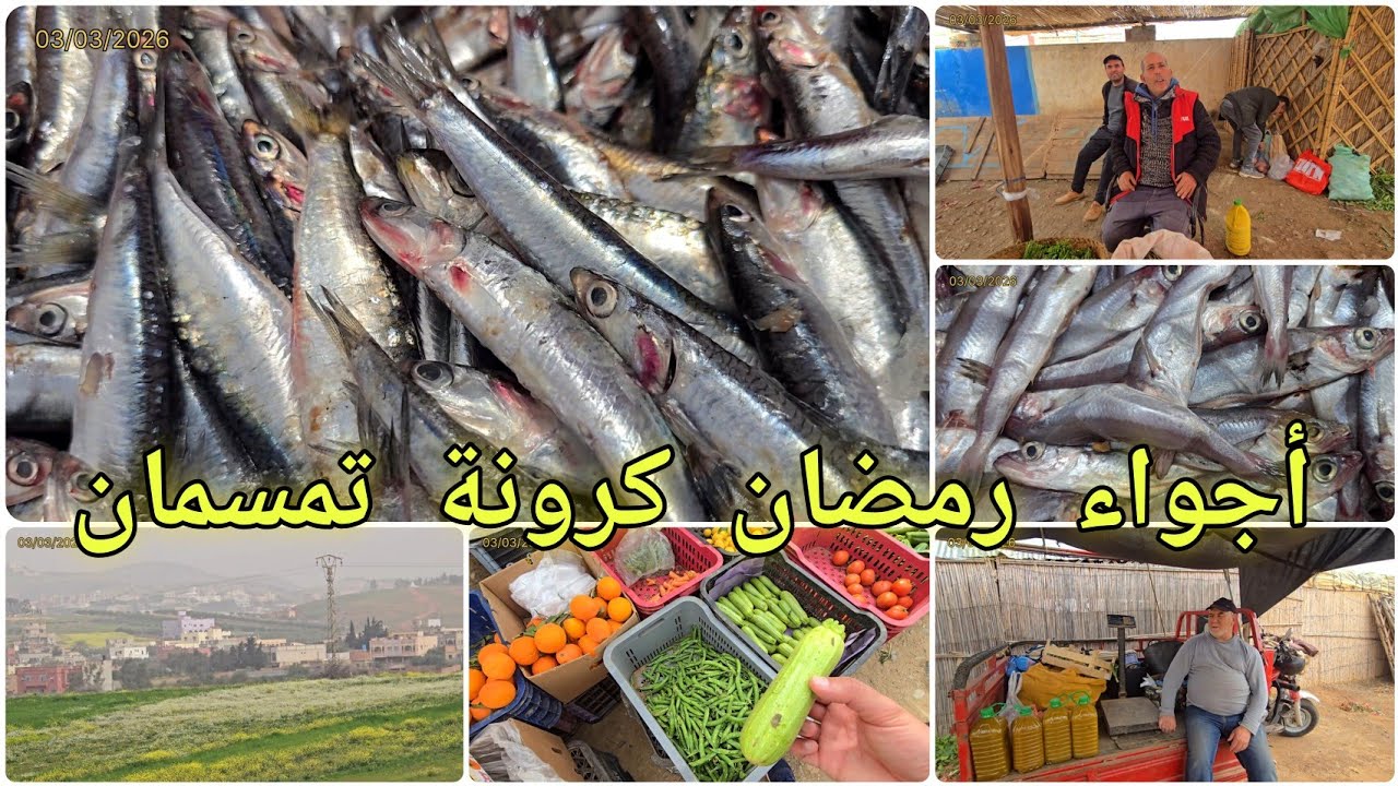 🚨أجوار رمضان من السوق اليومي كرونة تمسمان الحوت غالي والجودة ناقصة ولكن الخير موجود الحمد لله🤲