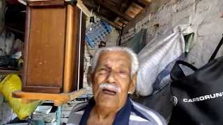 colmeia de abelha jatai existente a mais de meio sculo 50 anos