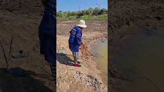 ลองดูๆ #funny #wildlife #fishing #food #survival #nature #cooking #tree #comedy #farming