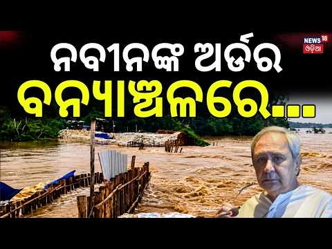 ନବୀନଙ୍କ ଅର୍ଡର ପରେ... Jajpur Flood Update | BJD Delegation Visits Flood-Hit Dasarathpur | Pradip Amat