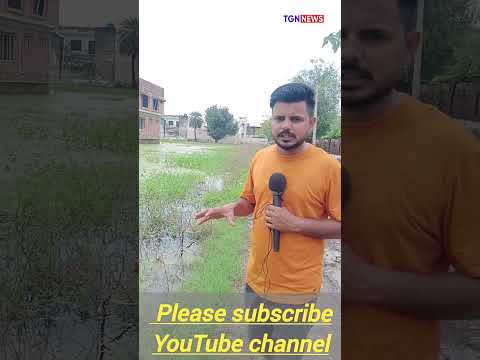 Barsat me duba makan #ytshort #news #tiger #viralvideos #breakingnews