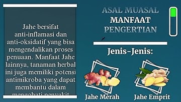 PENGERTIAN DAN MANFAAT JAHE EMPRIT || WEDANG JAHE
