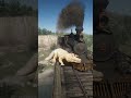 Mastering Survival Skill in Red Dead Redemption 2 #rdr2 #survivaltips #gamingshorts #gaming  #shorts
