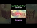 위고비 끊으면 뇌가 복수한다? 요요 4배 속도!
