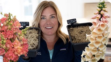 Sowing the first seeds of the year | Snapdragons and foxglove