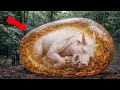 WE FOUND A PULSE: 5 Prehistoric Monsters Caught in Amber