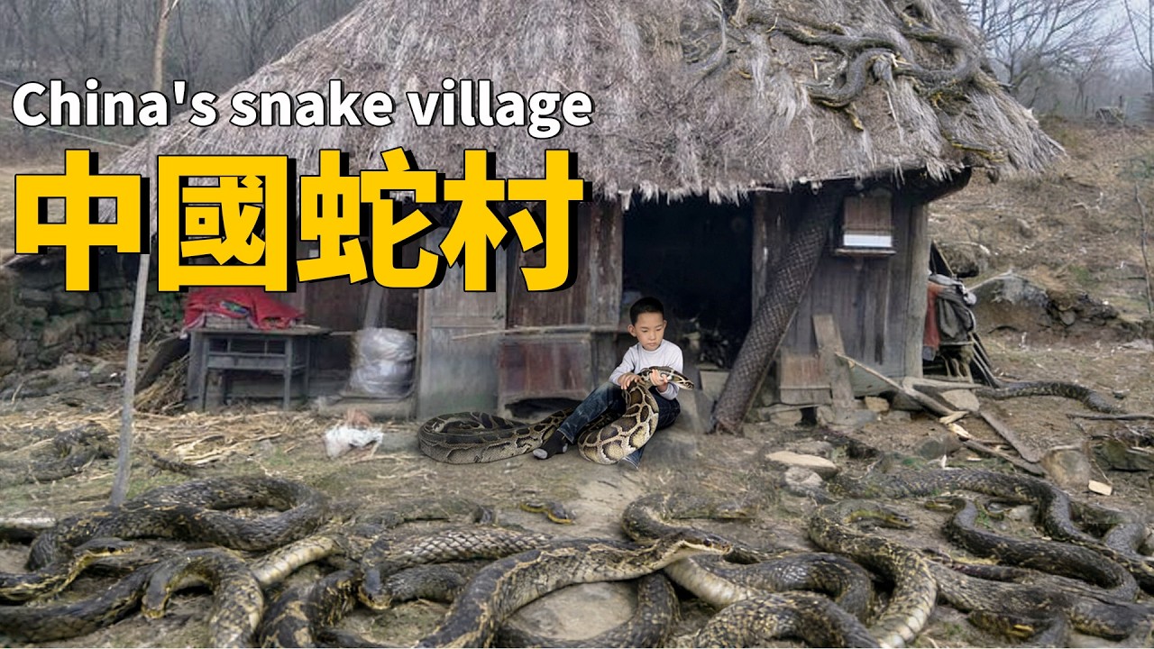 Самая безумная змеиная деревня Китая: дети растут рядом с кобрами