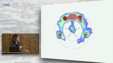 Sylvia Wirth - Basis of the memory engram - Part 2