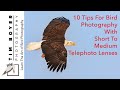 10 Tips For Bird Photography with a Short to Medium Telephoto Lens