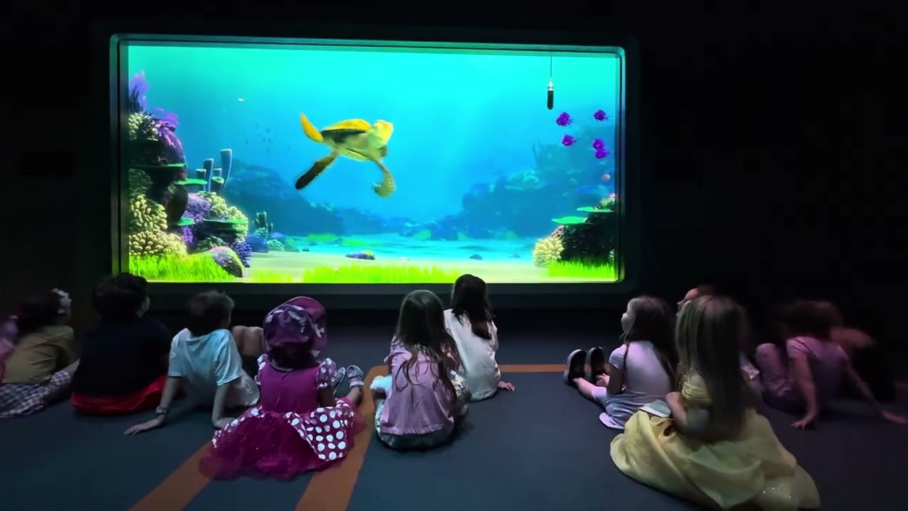 4K POV 🐢 Turtle Talk with Crush @ Disney’s EPCOT 🌊