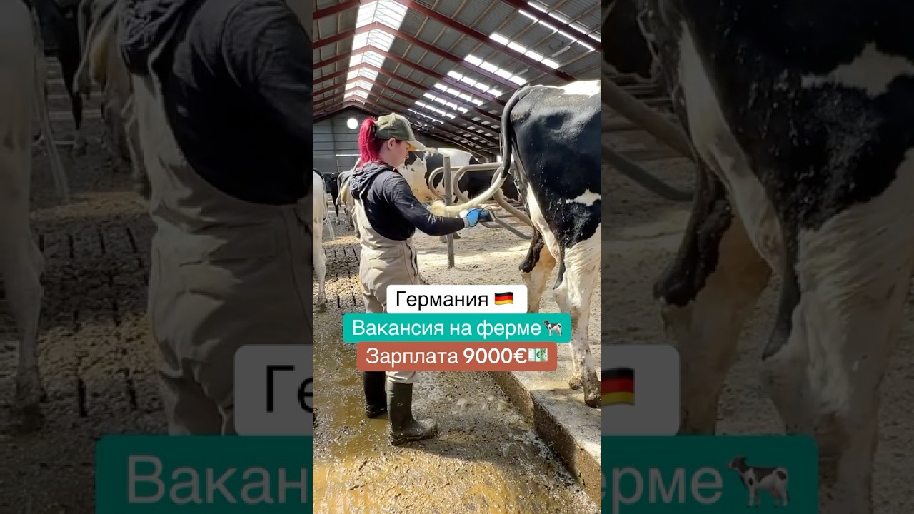 ПИШИТЕ ++ В КОММЕНТАРИИ 