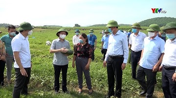 Đồng chí Bí thư Tỉnh ủy Đỗ Đức Duy và đoàn công tác kiểm tra tại huyện Yên Bình