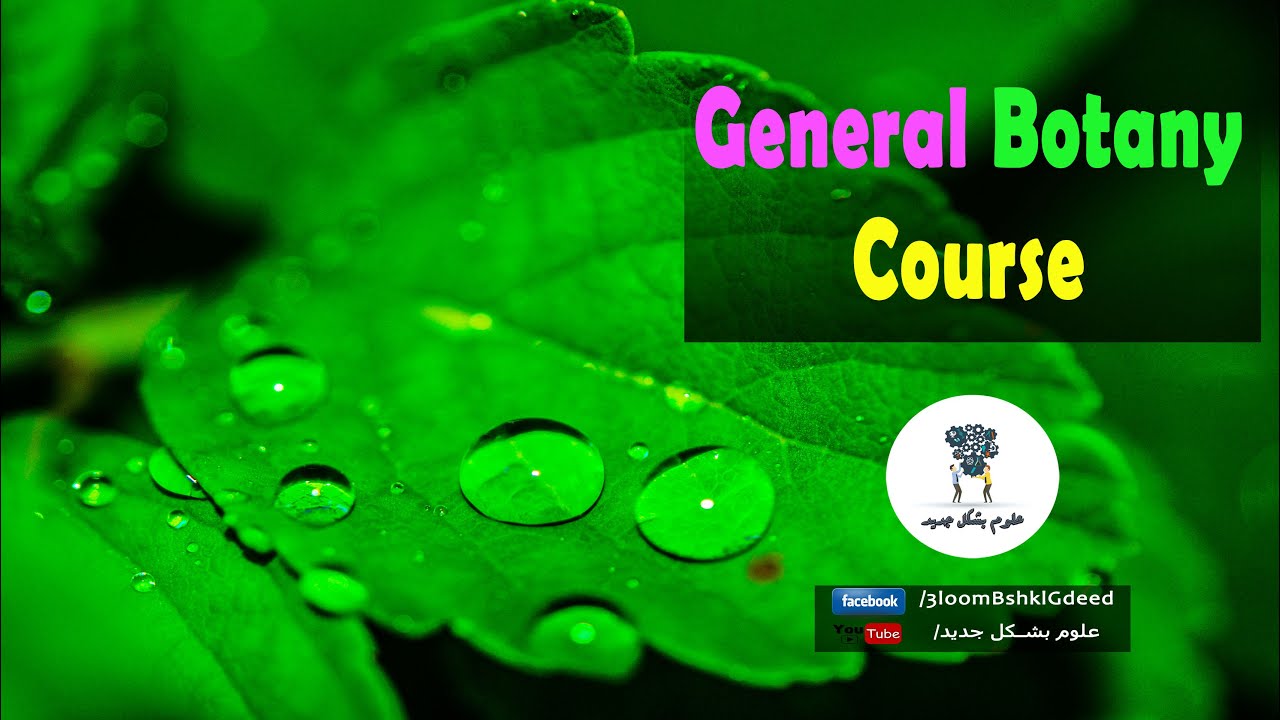 محاضرة 3 | كورس أساسيات علم النبات | Symbiogenesis and Plant Cell