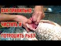 ★Как правильно чистить и потрошить рыбу