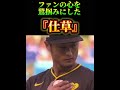 ファンの心を鷲掴みにした『仕草』⚾️ #ダルビッシュ有 #メジャーリーグ #プロ野球 #夢翔SPORTS