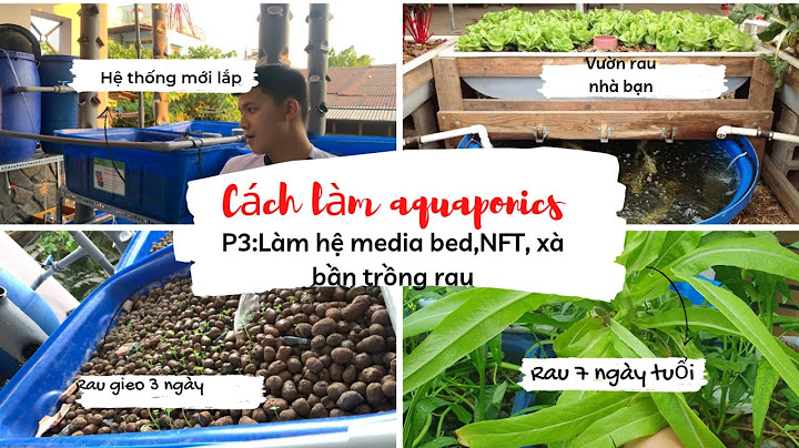 Hướng dẫn làm hệ thống aquaponics trồng rau nuôi cá	Informational, Transactional