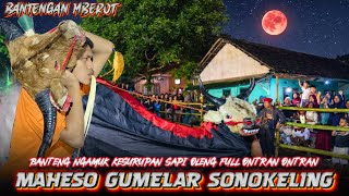 BANTENG OLENG🔥MAHESO GUMELAR SONOKELING NGAMUK PENONTON FULL ONTRAN ONTRAN