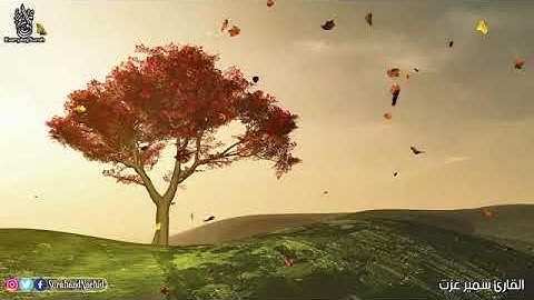 تلاوة هادئة لمن يبحث عن راحة البال والعقل 💚قران كريم💚 بصوت جميل جدا جدا سبحان من رزقه هذا الصوت HD