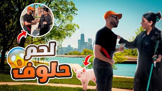 كول لحم لحلوف و ربح 10000 درهم 🐖