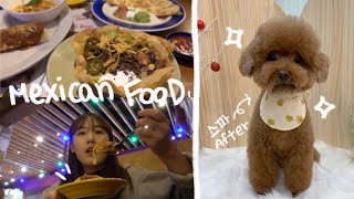 [Vlog] 온더보더에서 처음 맛 본 멕시코 음식은 과연? 두둥/ 깨알 애플 스트랩 언박싱/ 애견스파 다녀온 일상 브이로그?
