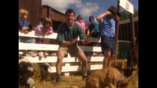 Zoboomafoo 118 - Sentindo-se Bem (Em Português)