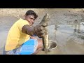 விரால் மீன் வேட்டை|Murrel Fish Hunting|குட்டை குழப்பி மீன் பிடித்தல்|Village Food Safari|Suppu