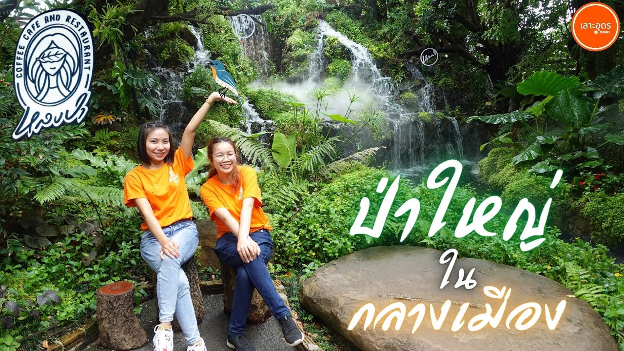 ในกลางเมืองอุดรมีป่าด้วยเหรอ ระวังจะหลง! หลงป่าคาเฟ่（素敵な森の中でリラックス）