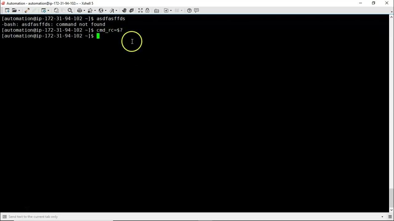 Bash shell scripting exit status of command and how to store that