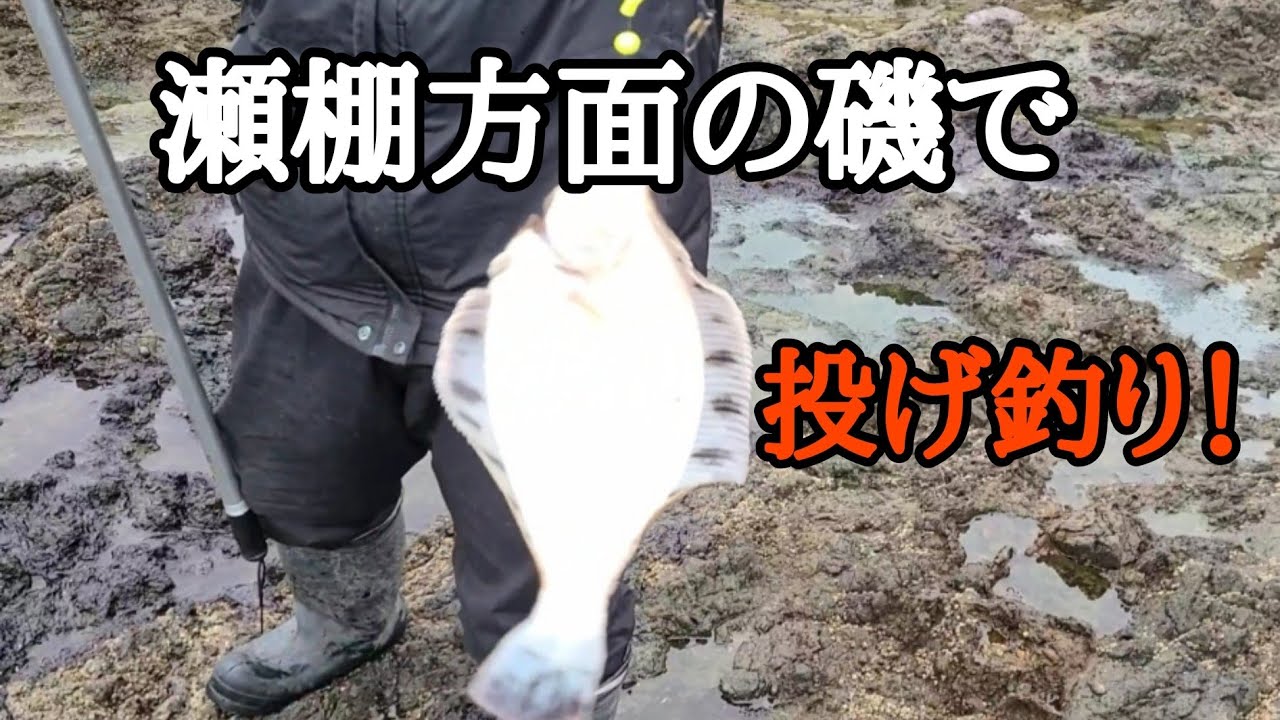 瀬棚方面の磯で投げ釣りしました！ - YouTube