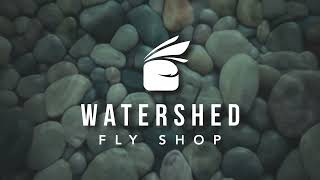 Fishing Report 3-20-24 LAST SHOT AT WINTER STEELHEAD | March Browns are HERE. by Watershed Fly Shop 210 views 2 months ago 2 minutes, 17 seconds