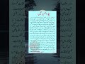 4 Important Things | Spiritual Quotes in Urdu | Islamic Urdu Quotes #shortsyoutube #shorts #trending