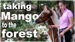 TAKING MANGO TO THE FOREST