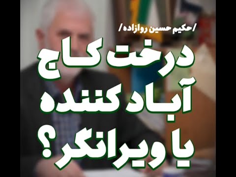 درخت کاج اباد کننده یا ویرانگر دکتر روازاده