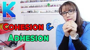 Cohesion, Adhesion, Capillarity, Solubility | Karen