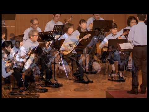 コバルトブルーの奇跡（武藤理恵）/マンドリン Mandolin - YouTube