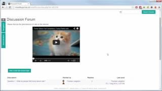Using the Forum Activity