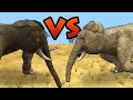 African vs Asian Elephant | Beast Face-off [S2E13] | SPORE