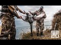 Hunting black swan and shoveler new zealand  the journey within  mark v peterson hunting