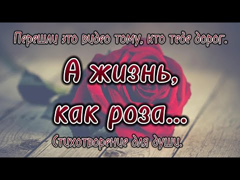 А жизнь, как роза... Магия рифм: стихи, как откровение. #стихи #потрясающиестихи #красиваяпоэзия