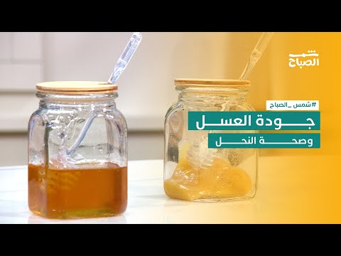 شمس الصباح كيف تصنع النباتات صحة النحل وجودة العسل 