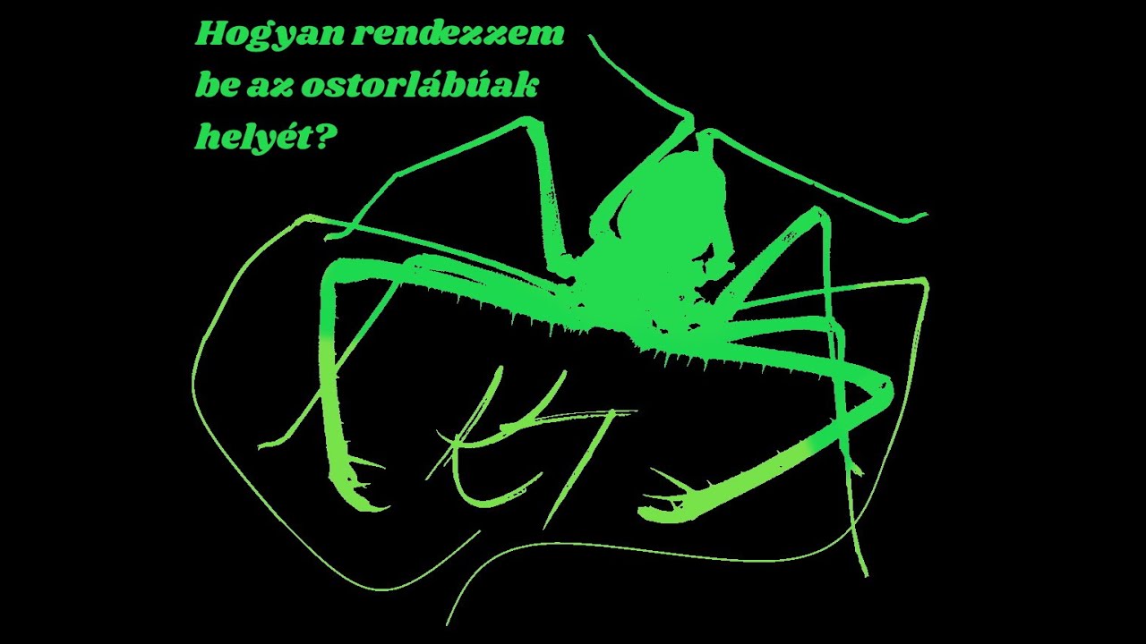 Doboz berendezése ostorlábúak (amblypygi) számára.